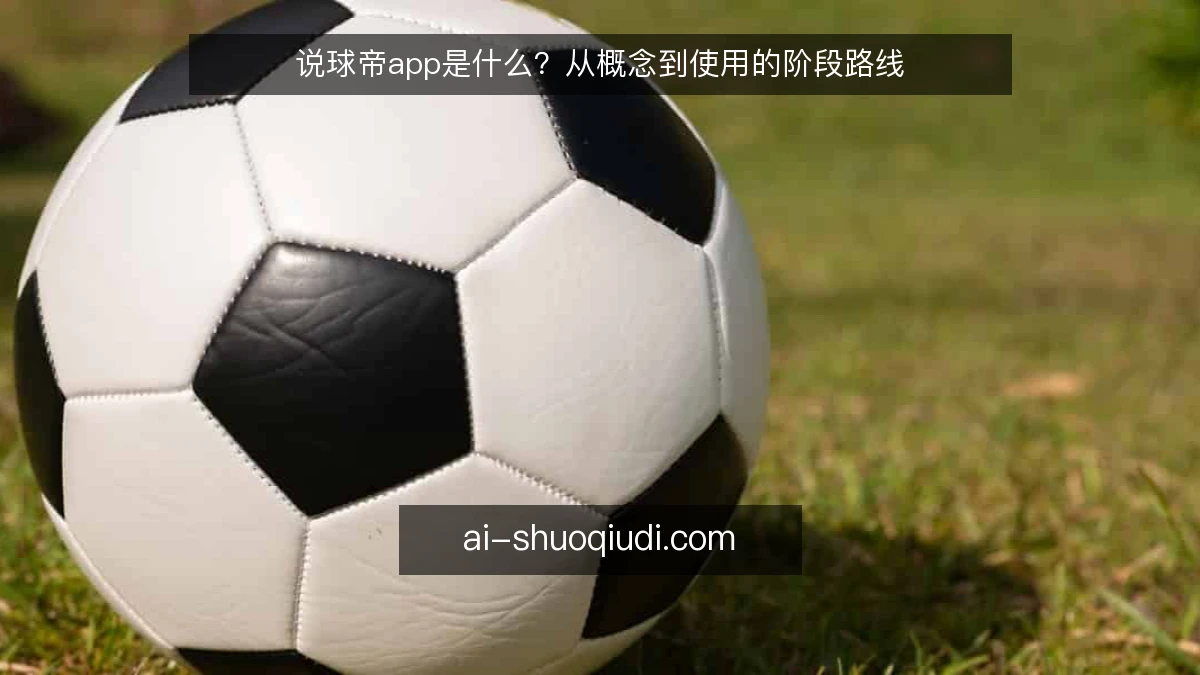 说球帝app是什么？从概念到使用的阶段路线
