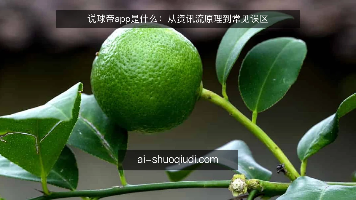 说球帝app是什么：从资讯流原理到常见误区